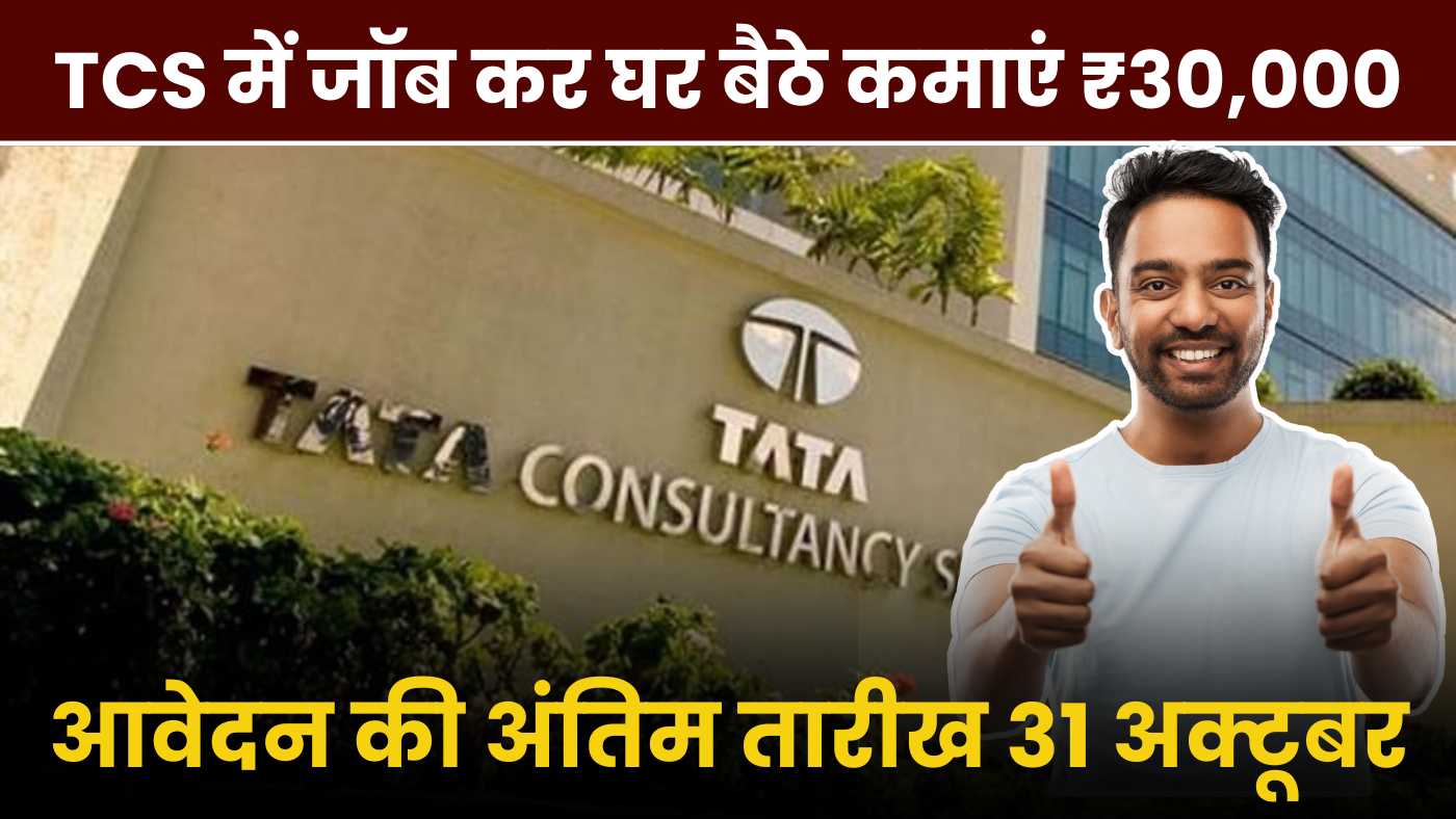 TCS Work From Home Job