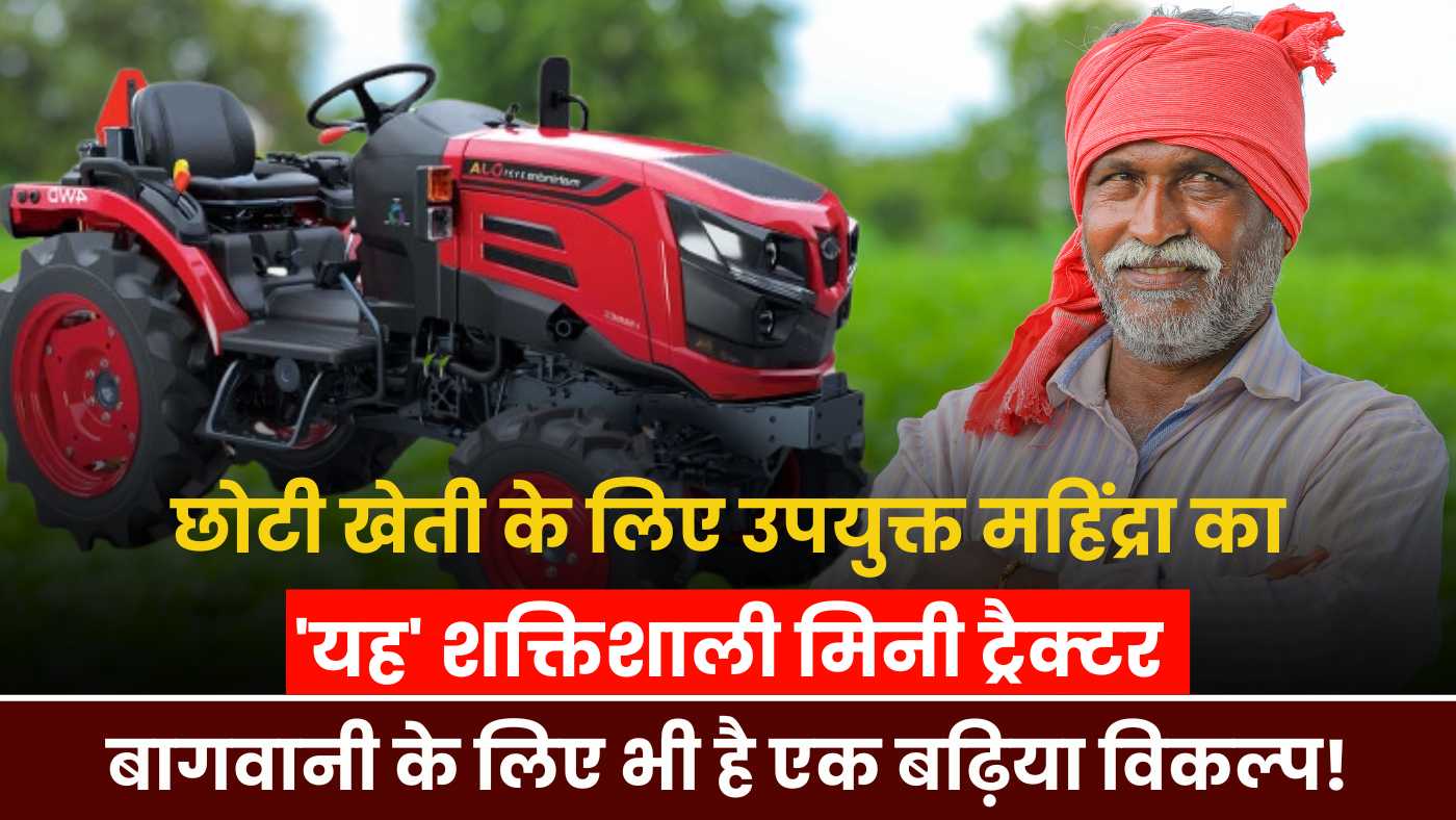 Mahindra Mini Tractor