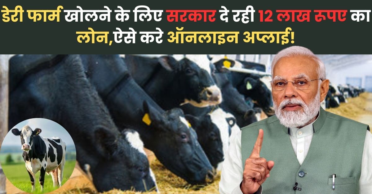 Dairy Farming Loan 2024: खोलें अपना खुद का डेयरी फार्म, पाएं 12 लाख रुपये का लोन, जानें कैसे करें ऑनलाइन आवेदन