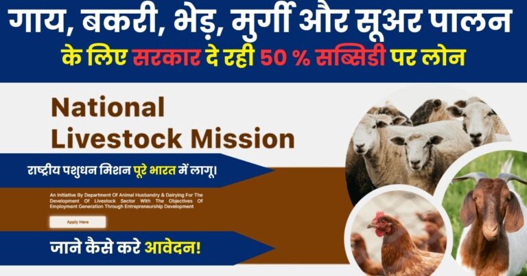 National Livestock Mission (NLM): गाय, बकरी, भेड़, मुर्गी और सूअर पालन के लिए सरकार दे रही ५० % सब्सिडी, जाने कैसे करे आवेदन!